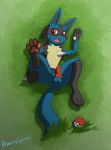  anthro anus balls black_fur blue_fur butt canid canine crystallos digital_media_(artwork) erection fur knot looking_at_viewer lucario male mammal nintendo nude open_mouth penis pok&eacute;mon pok&eacute;mon_(species) red_eyes solo tongue video_games 