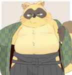  2017 anthro belly canine clothed clothing green_eyes humanoid_hands hyaku1063 male mammal moobs overweight overweight_male sengoku_puzzle simple_background solo tanuki tokugawa_ieyasu 