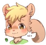  anthro auvere blush bust_(disambiguation) cub digital_media_(artwork) fur hair katosquirrel looking_at_viewer male mammal rodent simple_background solo squirrel white_background young 
