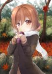  autumn_leaves bangs blurry blurry_background brown_coat brown_hair brown_shirt chestnut_mouth coat commentary_request day depth_of_field eyebrows_visible_through_hair food fringe_trim hair_between_eyes head_tilt highres holding holding_food leaf long_sleeves looking_at_viewer maple_leaf maru_shion original outdoors parted_lips red_eyes scarf shirt sleeves_past_wrists solo standing sweet_potato tree upper_body white_scarf 