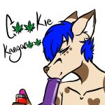  bong cookie_cankaru drugs hi_res kangaroo kristorz lighter male mammal marijuana marsupial pot_leaf solo spots 