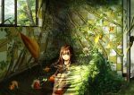  absurdres bat brown_hair commentary_request expressionless fish flower goldfish green green_eyes highres indoors knees_up koi kokorin leaf long_hair looking_at_viewer open_door original overgrown partially_submerged plant ripples school_uniform serafuku sitting sunlight tile_wall tiles tree vines window 