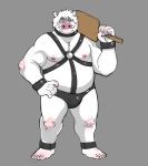  2017 5_fingers anklet anthro biceps boar collar grey_background harness hyenaface jewelry leather male mammal muscular muscular_male nipples paddle pink_nose porcine simple_background solo standing tusks white_background 