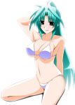  bikini breasts engo_(aquawatery) facial_mark feet_out_of_frame forehead_mark green_eyes green_hair highres large_breasts lindy_harlaown long_hair looking_at_viewer lyrical_nanoha mahou_shoujo_lyrical_nanoha mahou_shoujo_lyrical_nanoha_a's mahou_shoujo_lyrical_nanoha_strikers ponytail simple_background sitting solo swimsuit white_background white_bikini 