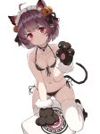  1girl ahoge animal_ears ass_visible_through_thighs bangs bare_arms bare_shoulders bell bikini black_bikini black_choker black_ribbon blush breasts brown_hair cat_ears cat_girl cat_paws cat_tail choker closed_mouth collarbone commentary_request eyebrows_visible_through_hair front-tie_bikini front-tie_top gin00 gloves hair_bell hair_ornament hair_ribbon halter_top halterneck hand_up headdress highres jingle_bell looking_at_viewer maid_headdress navel original paw_gloves paw_shoes paws red_eyes ribbon shoes short_hair side-tie_bikini simple_background skindentation small_breasts solo stomach swimsuit tail thighhighs v-shaped_eyebrows white_background white_legwear 