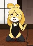  2018 animal_crossing anthro black_eyes blush canine clothing collar countershading digital_media_(artwork) dog female flat_chested fur hair isabelle_(animal_crossing) kneeling leash legwear leotard looking_at_viewer mammal nintendo nipples open_mouth smile snout solo spread_legs spreading stockings tight_clothing tongue video_games white_countershading window yellow_fur zekromlover 
