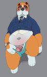  2017 animal_crossing anthro belly blush booker_(animal_crossing) bulldog canine clothed clothing countershade_torso countershading digital_media_(artwork) dog foreskin fur glans humanoid_hands humanoid_penis looking_at_viewer lying male mammal multicolored_fur nastyspook nintendo overweight overweight_male penis police_uniform precum signature simple_background slightly_chubby solo uncut underwear uniform video_games 