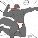  abs artist_signature black_fur bulge canine eye_patch eyewear fur hair itsdhani jumping looking_at_viewer male mammal muscular muscular_male nipples red_eyes red_hair solo sport volleyball wolf 