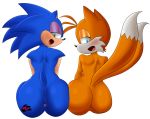  anthro anus blush butt canine duo female fox hedgehog looking_back mammal miles_prower nude oasissonik rear_view simple_background sonic_(series) sonic_the_hedgehog thick_thighs video_games white_background wide_hips 