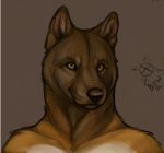  2012 anthro black_nose brown_fur bust_portrait canine cedarwolf digital_media_(artwork) dog front_view fur grey_background hurst looking_at_viewer low_res male mammal multicolored_fur portrait signature simple_background solo white_fur yellow_eyes 