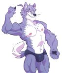  2018 anthro biceps bulge canine fur hi_res male mammal muscular muscular_male nipples pecs plum_(artist) solo wolf 