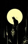  artist_name black_cat cat cat_focus chinese_commentary commentary_request full_moon highres lamppost moon night night_sky no_humans on_top_of_pole original outdoors sheya signature sitting sky star_(sky) starry_sky whiskers 