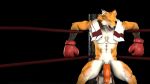  3d_(artwork) boxing canine digital_media_(artwork) fox mammal nude rafer_grand_(artist) source_filmmaker sport 