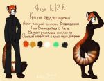  anthro big_tail general_taboo_(copyright) green_eyes hi_res inspirational_cookie_(artist) mammal model_sheet nude pose red_panda russian_text tagme text yazi_lee_(character) 