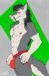 anthro canid canine canis clothed clothing delta_dewitt digital_media_(artwork) fur hi_res jockstrap male mammal nipples simple_background smile solo underwear wolf