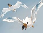  bird flying highres multicolored_feathers no_humans nyala_(nyala_766) pokemon pokemon_(creature) simple_background sky wingull 