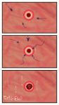 absurd_res anubias_amber hi_res japanese_text ovum sperm_cell text