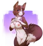 anthro border_collie bottomless breasts brown_body brown_fur canid canine canis cheek_tuft chest_tuft claire_(vouivre01) clothed clothing collie dipstick_tail domestic_dog facial_tuft female fluffy fluffy_tail front_view fur genitals herding_dog hi_res hihikori mammal markings nipples pastoral_dog pussy sheepdog smile solo standing tail tail_markings tank_top_lift tank_top_only tuft white_body white_fur