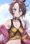  1girl absurdres animal_ears armpit_crease blue_eyes blue_sky breasts brown_hair cleavage cloud cloudy_sky collarbone commentary commentary_request crop_top day hair_between_eyes highres horse_ears horse_girl jacket light_blush long_sleeves looking_at_viewer medium_hair narita_taishin_(umamusume) open_clothes open_jacket outdoors pink_jacket pizzasi sky solo sweat umamusume upper_body 