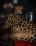 anus balls felid feline genitals leopard leopard_cat leopard_spots male mammal pantherine prionailurus solo spots spread_anus spreading unchatcoquin