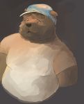  2018 anthro bear bezdomny brown_fur clothing fur hat male mammal overweight overweight_male shirt solo 