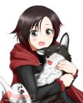  :o alfred_cullado animal_ears blush brown_hair cape corset dog dog_ears highres multicolored_hair one_eye_closed red_cape red_hair ruby_rose rwby short_hair silver_eyes solo upper_body welsh_corgi white_background zwei_(rwby) 