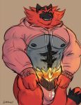  2018 anthro biceps big_penis bulge clothing digital_media_(artwork) fur gatorbeast hoodie humanoid_penis incineroar ineffective_clothing male meme muscular muscular_male nintendo nipples pecs penis pok&eacute;mon pok&eacute;mon_(species) simple_background sketch smile smirk solo thick_penis thong twitter_hoodie vein video_games 