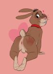  &lt;3 all_fours anthro anus backsack balls blush brown_eyes brown_fur butt collar fur furrybob lagomorph looking_at_viewer looking_back male mammal nude pink_nose presenting presenting_anus presenting_hindquarters rabbit simple_background solo spank_marks teeth whiskers 