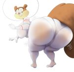 absurd_res anthro astronaut_suit barrybbeesly big_breasts big_butt big_tail breasts brown_body brown_fur bubble_helmet buckteeth butt butt_jiggle digital_media_(artwork) fluffy fluffy_tail fur hi_res huge_butt jiggling looking_at_butt mammal motion_lines nickelodeon pink_nose rodent sandy_cheeks sciurid spongebob_squarepants tail tail_aside teeth toony tree_squirrel