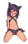  animal_ears ass_visible_through_thighs bangs bare_arms bare_shoulders black_shorts blush brown_eyes brown_hair choker commentary_request dark_skin eyebrows_visible_through_hair fang flat_chest full_body hair_flaps head_tilt highres jahy jahy_sama_wa_kujikenai leaning_back long_hair looking_at_viewer midriff mokew navel nose_blush o-ring o-ring_top open_mouth short_shorts shorts sidelocks simple_background sitting solo stomach very_long_hair wariza white_background yellow_eyes 