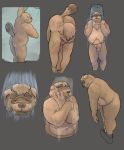 2018 anthro balls bathing belly bezdomny brown_fur butt canine flaccid fur humanoid_hands male mammal navel overweight overweight_male penis solo tanuki 
