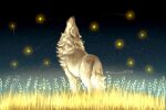  animal animal_focus closed_eyes facing_up field fireflies from_behind howling light_trail nature night night_sky no_humans open_mouth original outdoors sensui_(sui_wolf55) sky solo standing star_(sky) traditional_media twitter_username wheat_field wolf 