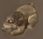  2018 bear bezdomny brown_fur canine eyes_closed feral fur mammal simple_background sleeping slightly_chubby tanuki 