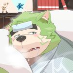 anthro blush canid canine canis domestic_dog eyebrows fur green_body green_eyes green_fur hi_res ill lifewonders live_a_hero male mammal mokdai pillow solo thick_eyebrows toto3_official