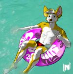  anthro avatar_(disambiguation) canine clothed clothing corgi dog looking_at_viewer lownleinhigh male mammal pose solo speedo summer swimming_pool swimsuit topless v_sign worgi 