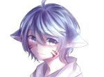  1boy animal_ears blue_eyes blue_hair fox_ears highres looking_away male_focus markings shota siho_(talesrunner) simple_background talesrunner white_background 