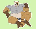 2024 anthro belly big_belly brown_body bulge burropaleta clothing green_background hi_res male mammal musclegut muscular navel overweight overweight_male procyonid raccoon rascal_(robot_dreams) robot_dreams shirt simple_background smile solo topwear underwear