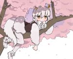  010mzam 1girl animal_ears anteater_ears anteater_tail blush bow bowtie branch cherry_blossoms extra_ears frills hair_between_eyes in_tree kemono_friends kemono_friends_3 long_sleeves lying orange_eyes pantyhose petals short_hair skirt southern_tamandua_(kemono_friends) tail tamandua_ears tamandua_tail tree white_hair 