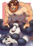 absurd_res anal anthro ass_up balls bear beard belly biceps blush border butt deltoids duo erection eyes_closed facial_hair felid genitals giant_panda grin hand_on_legs heart_symbol hi_res hunched_over legs_up lion lomlynx looking_at_another looking_at_partner lying male male/male mammal manly mature_male musclegut muscular navel nipples on_back open_mouth pantherine parsepangoro pecs penis pubes red_background sex simple_background slightly_chubby smile standing triceps white_border