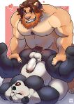  absurd_res anal anthro ass_up balls bear beard belly biceps blush border butt deltoids duo erection eyes_closed facial_hair felid genitals giant_panda grin hand_on_legs heart_symbol hi_res hunched_over legs_up lion lomlynx looking_at_another looking_at_partner lying male male/male mammal manly mature_male musclegut muscular navel nipples on_back open_mouth pantherine parsepangoro pecs penis pubes red_background sex simple_background slightly_chubby smile standing triceps white_border 