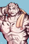  1boy 7th_art_forge abs animal_ears arknights artist_name bara blue_background blue_eyes cross_scar drying drying_hair english_commentary furry furry_male highres looking_to_the_side male_focus mountain_(arknights) multiple_scars muscular muscular_male nipples pectorals scar scar_across_eye scar_on_arm scar_on_cheek scar_on_chest scar_on_face scar_on_shoulder scar_on_stomach tiger_boy tiger_ears tiger_stripes topless_male towel towel_around_neck upper_body wet 