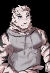  1boy animal_ears arknights black_background blue_eyes cross_scar english_commentary furry furry_male grey_hoodie highres hood hoodie lodgebert looking_at_viewer male_focus mountain_(arknights) scar scar_across_eye scar_on_cheek scar_on_face sleeveless sleeveless_hoodie smile tiger_boy tiger_ears tiger_stripes upper_body whiskers 