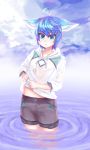  1boy animal_ears blue_eyes blue_hair blush child cloud eyeshadow fox_ears jtaro looking_down makeup male_focus markings outdoors shorts siho_(talesrunner) sky sweater talesrunner water wet 