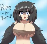  animal_humanoid avian avian_humanoid big_breasts bird blue_eyes breasts clothing corvid dark_souls dark_souls_3 english_text female fromsoftware hair harpy huge_breasts humanoid looking_at_viewer mammal mistpirit open_mouth pickle-pee simple_background solo text video_games 