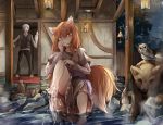  1girl animal_ears barefoot bear bird brown_hair commentary_request craft_lawrence highres holo lamp long_hair looking_at_viewer mahimaru night night_sky outdoors owl red_eyes short_hair silver_hair sitting sky slit_pupils smile soaking_feet spice_and_wolf standing tail water wolf_ears wolf_tail 