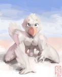  2018 all_fours anthro avian bird feathers foreskin hi_res humanoid_penis male nude outside penis simple_background solo sunhuiz uncut vusta white_feathers 