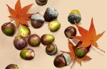  acorn aiai_(hidetti) autumn_leaves food leaf no_humans original sepia_background shadow 