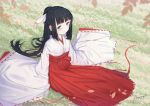  ano54 bangs black_hair blue_eyes blurry blurry_foreground blush closed_mouth commentary day depth_of_field eyebrows_visible_through_hair grass hair_ribbon hakama highres japanese_clothes kimono long_hair long_sleeves miko on_grass original outdoors ponytail red_hakama ribbon ribbon-trimmed_sleeves ribbon_trim sidelocks signature sitting sleeves_past_fingers sleeves_past_wrists smile solo very_long_hair white_kimono white_ribbon wide_sleeves 