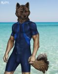  2011 akita anthro beach black_claws black_tail blue_clothing blue_sky bodysuit brown_fur brown_tail bulge canine claws clothed clothing day detailed_background digital_media_(artwork) dog erection erection_under_clothes front_view fur hurst looking_at_viewer male mammal multicolored_fur multicolored_tail nylak outside penis_outline portrait sea seaside signature skinsuit sky solo standing tan_fur three-quarter_portrait tight_clothing two_tone_fur water white_tail yellow_eyes 