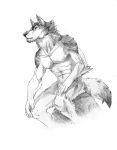  2018 anthro canine digital_media_(artwork) male mammal muscular muscular_male nude rakan scar scrappyvamp sketch solo were werewolf wolf 